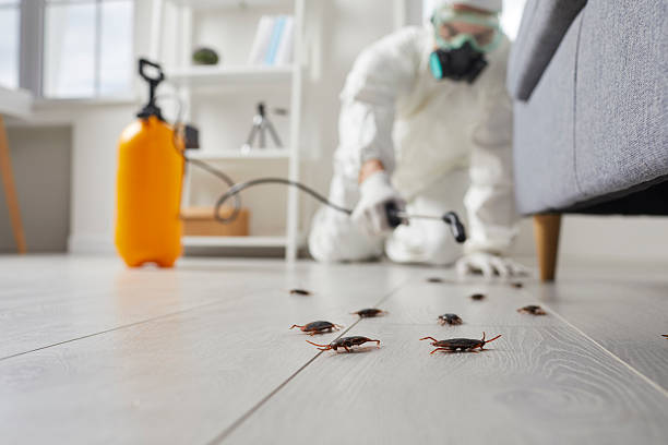 Post-Treatment Bed Bug Interceptor Monitoring in Woodmont